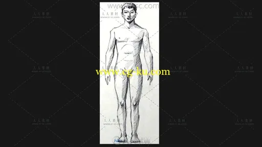2015男性与女性身体的解剖视频教程的图片1