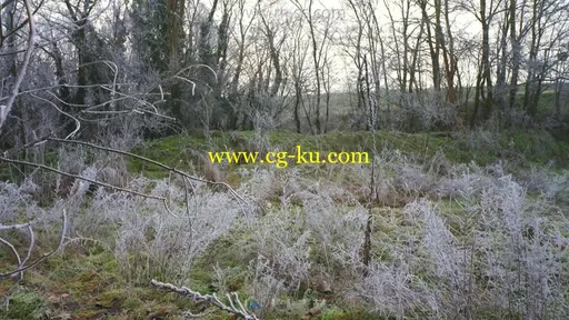 冬天的景色雾和冰的自然风光视频素材的图片3