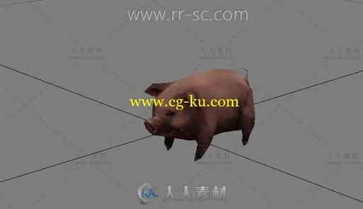 可爱的小家猪3D模型的图片1