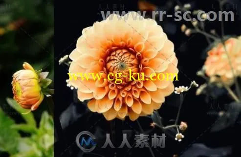 15款暗黑肖像润饰Lightroom预设的图片3