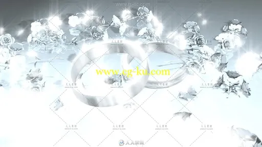 一对戒指在银白色玫瑰花中演绎真爱永恒的情人节视频素材的图片2