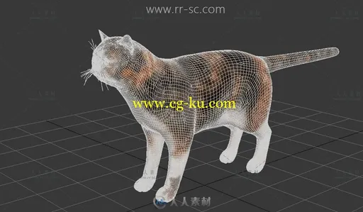 可爱的短毛小猫3D模型的图片2