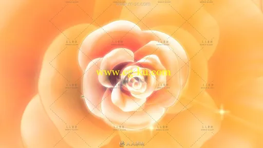 3D模拟金色浪漫珍珠玫瑰花旋转视频素材的图片1