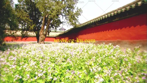 航拍北京城市天安门广场故宫高清实拍视频素材的图片3