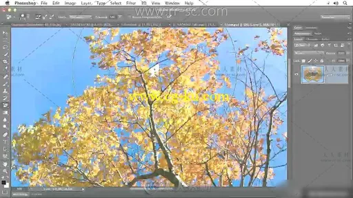 Photoshop高级蒙版技术视频教程的图片1