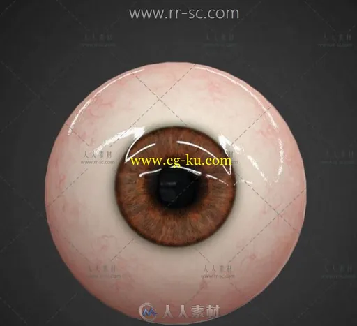 超写实眼球3D模型的图片1
