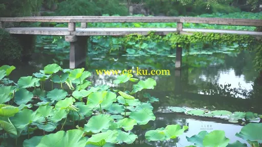 古典园林风貌建筑高清实拍视频素材的图片3
