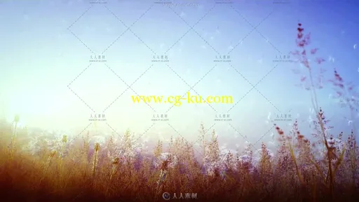 清晨唯美薰衣草园向日葵蒲公英高清实拍视频素材的图片2