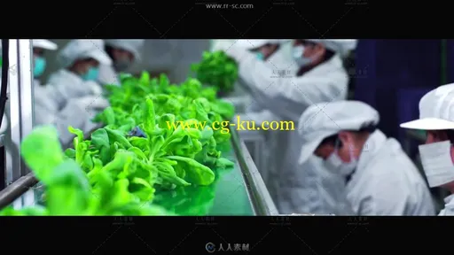 农业技术室内种植科技产品宣传片高清实拍视频素材的图片2