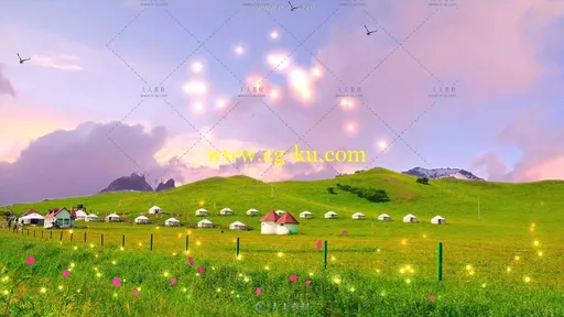 萤火虫般飞舞在草原上特效背景视频素材的图片1