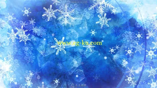 38组绿色科技线条粒子背景视频素材的图片3