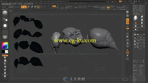 Zbrush真实昆虫实例制作大师级视频教程的图片1