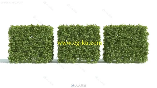 60组高质量花园草木植物3D模型合辑的图片4