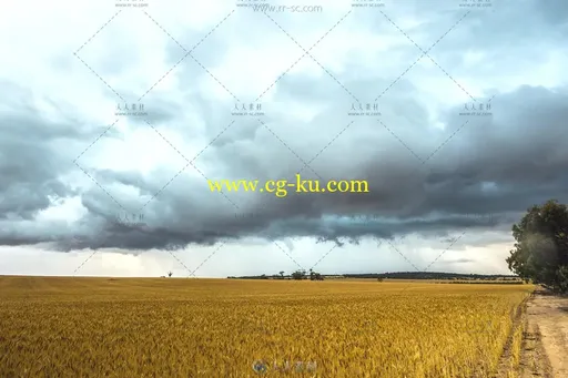 广阔草原暴雨来临前乌云密布高清实拍视频素材的图片1