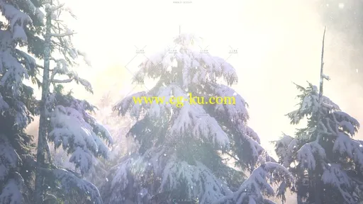 冬季阳光下大雪纷飞中的松树高清实拍视频素材的图片1