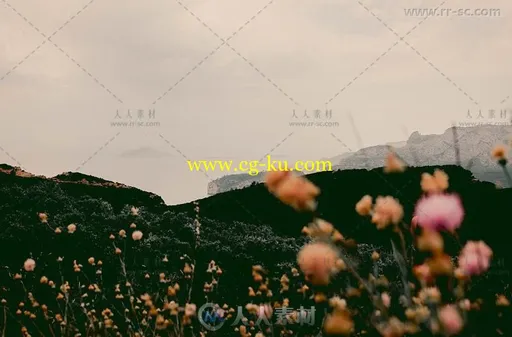 淡淡的绿色电影摄像机Lightroom预设的图片2