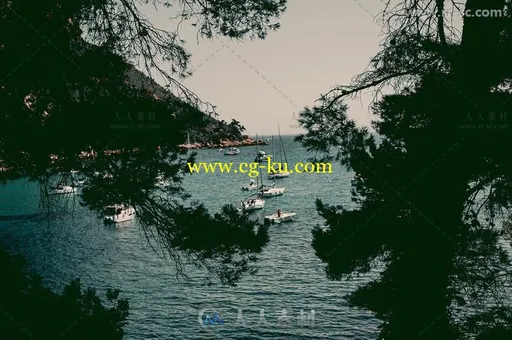 淡淡的绿色电影摄像机Lightroom预设的图片3