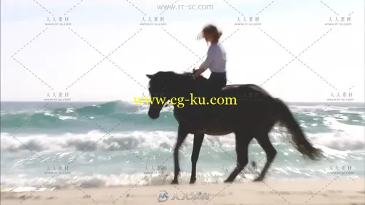奔腾的骏马高清实拍视频素材的图片1