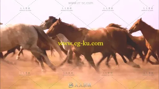 奔腾的骏马高清实拍视频素材的图片3
