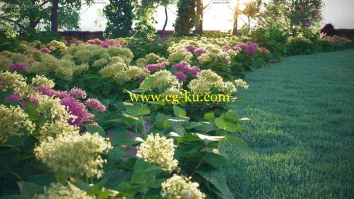 Vizpark出品的灌木滑草植被3D模型库的图片5