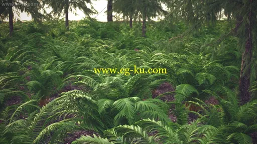 Vizpark出品的灌木滑草植被3D模型库的图片6