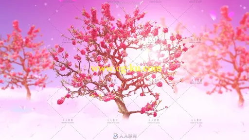 唯美浪漫梅花瓣舞蹈动态视频素材的图片2