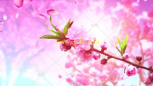 唯美浪漫梅花瓣舞蹈动态视频素材的图片3