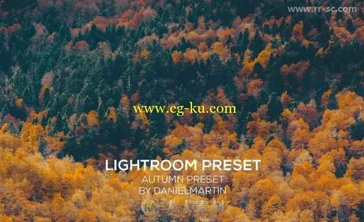 时尚优雅的灯光效果Lightroom预设的图片2