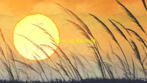 44组清新视觉光线粒子芦苇火焰各形态视频素材的图片2