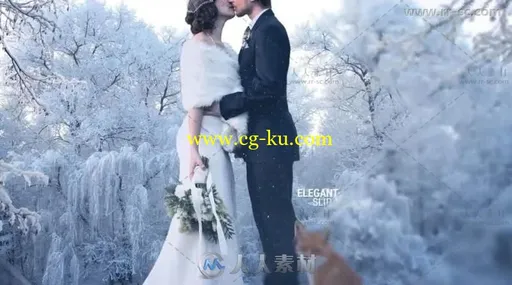 时尚优雅玻璃质感幻灯片相册动画AE模板的图片8