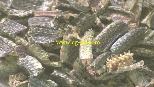 名贵药材展示视频素材的图片2