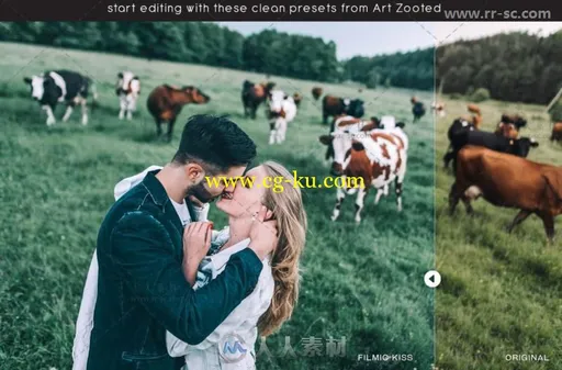 完美高质量的婚礼Lightroom预设的图片2