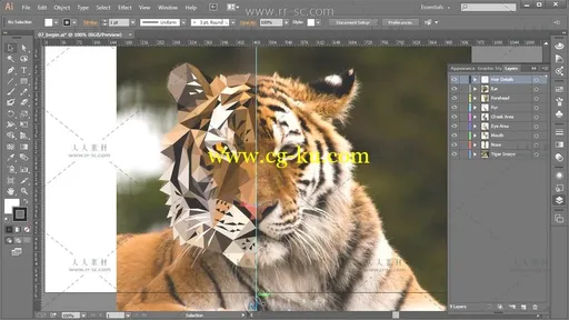 Illustrator创建多边形动物肖像视频教程的图片4