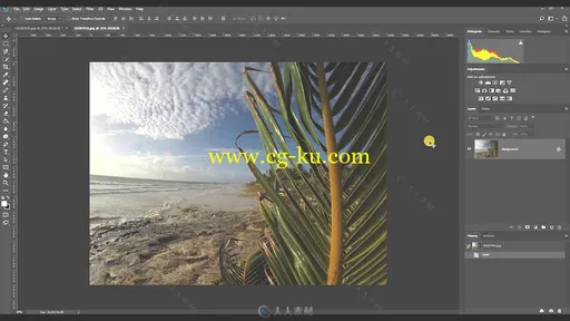 Photoshop使用概述训练视频教程的图片2