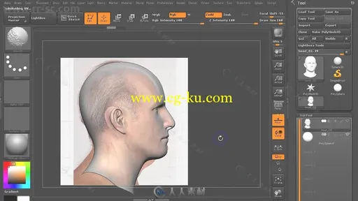 Zbrush精细人脸塑造实例训练视频教程第一季的图片2