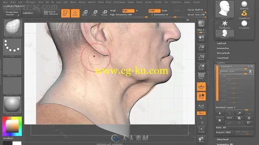 Zbrush精细人脸塑造实例训练视频教程第一季的图片3