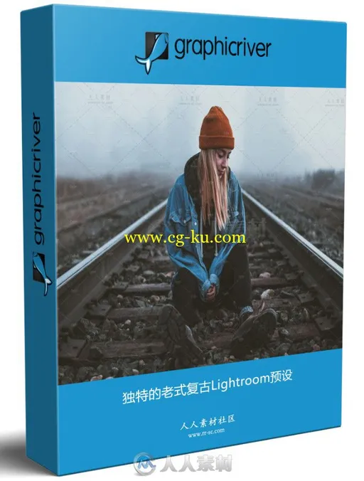 独特的老式复古Lightroom预设的图片1