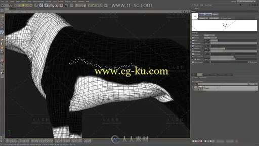 Illustration波士顿犬图制作视频教程的图片4