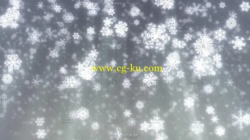 大片雪花飘落动态视频素材的图片1