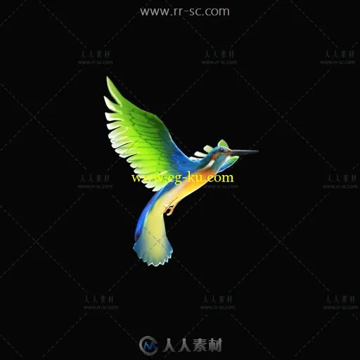 漂亮的多彩飞鸟动态视频素材（带通道）的图片2