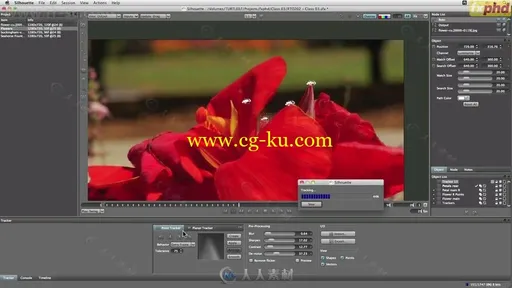 SFX Silhouette后期制作特效合成综合训练视频教程的图片11