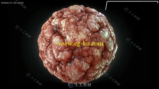 Substance Designer纹理材质制作大师班训练视频教程第一季的图片8