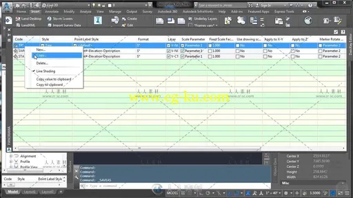 Civil 3D点控技术训练视频教程的图片2