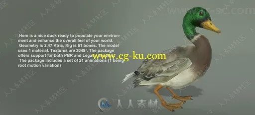 24组动物角色3D模型合辑Unity游戏素材资源的图片20