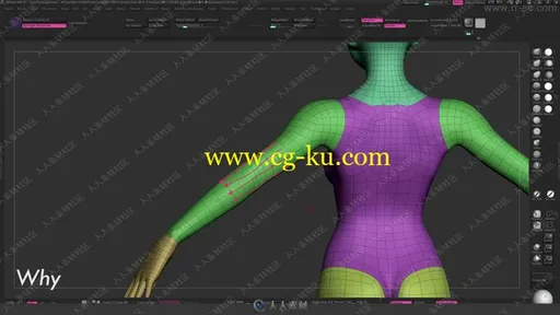 Zbrush角色身体层次拓扑技术训练视频教程的图片2