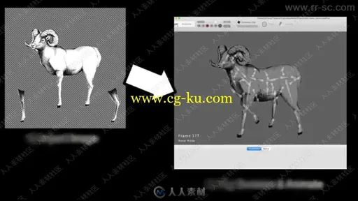 Creature Animation Pro专业动画设计软件V3.44版的图片2