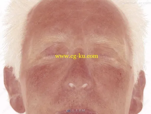 高精度50岁白人男性全脸贴图合辑的图片2