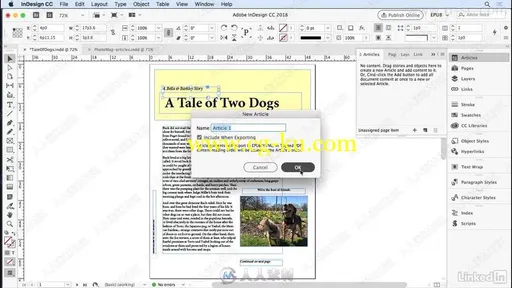 InDesign CC制作EPUB开源电子书格式工作流程视频教程的图片1