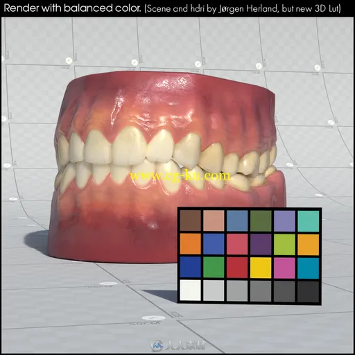 写实仿真的牙齿医学贴图3D模型的图片1