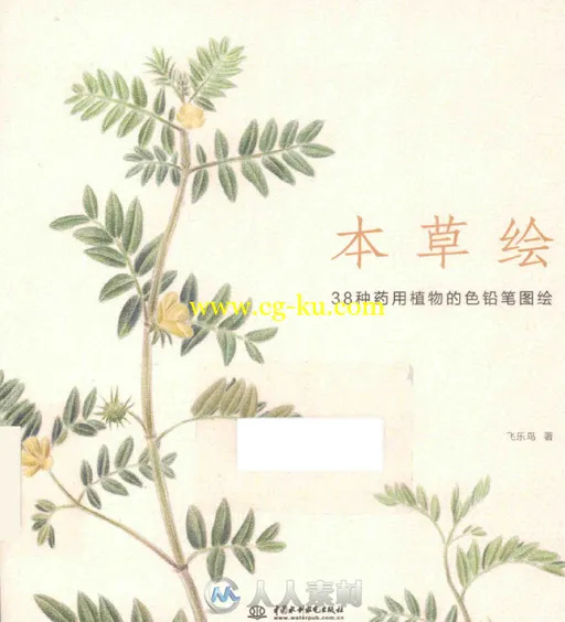 8种药用植物的色铅笔图绘书籍杂志的图片1